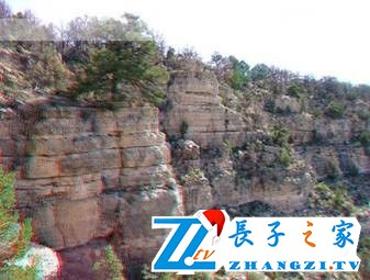 仙翁山木化石森林公园